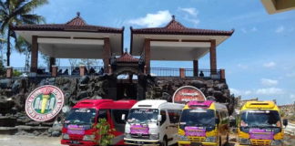 Sewa Elf Banyuwangi Murah sewa elf banyuwangi