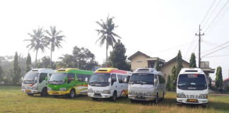 Sewa Elf Pati Melayani Wisata Dengan Harga Termurah sewa elf pati