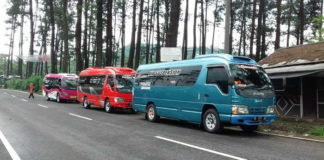 Sewa Elf Bondowoso Terbesar sewa elf bondowoso