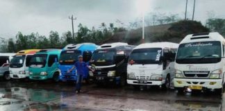 Sewa Elf Bekasi Termurah Terpercaya sewa elf bekasi