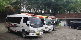 Sewa Elf Kebumen Harga Termurah Tersedia Minibus Short Dan Long sewa elf kebumen